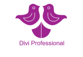 Divi Professional Coupon Codes