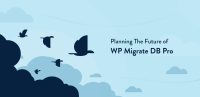 WP Migrate DB Pro Coupon Codes