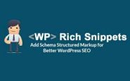 WP Rich Snippets COupon Codes