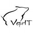 VeprIT Coupon Codes