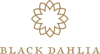 BlackDahlia.co Coupon Codes